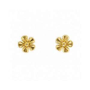 Arete Flor